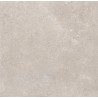 Mexen Oberon Argento glasuuriga portselan, rektifitseeritud G1, põranda-seinaplaat 60 x 60 cm, nikerdatud - TL429-060-060-00