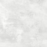 Mexen Bangkok Lichtgrijs geglazuurd gres gerectificeerd G1, vloer- en wandtegel 60 x 60 cm, sugar - TL503-060-060-00