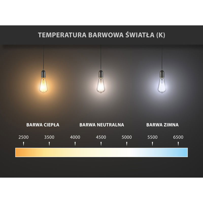Mexen Nova 6x LED spuldze E27, G45, 7W, Auksts - 6500K, 735 lm - L101-E27-0765-01x06