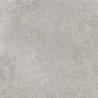 Mexen Petrich 2.0 Light Grey Terrace Slab 60 x 60 x 2 cm, Glazed Rectified Gres, Matt - TL906-060-060-00