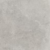 Mexen Petrich 2.0 Helehall terrassiplaat 60 x 60 x 2 cm, glasitud portselan, matt - TL906-060-060-00