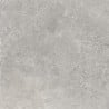 Mexen Petrich 2.0 Light Grey Terrace Slab 60 x 60 x 2 cm, Glazed Rectified Gres, Matt - TL906-060-060-00