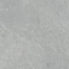 Mexen Prestone 2.0 Grey płyta tarasowa 60 x 60 x 2 cm, gres szkliwiony rekt. G1, mat - TL911-060-060-01