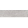 Mexen Magnifica Gris glasuuriga rektsiooniline G1, põranda-seinaplaat 120 x 30 cm, matt - TL707-120-030-00