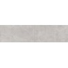 Mexen Magnifica Avenue Gris gres smaltato rettificato G1, piastrella da parete 120 x 30 cm, opaca - TL707-120-030-50