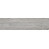 Mexen Riga Hall läikiv portselan, rek. G1, puidumustriga põranda-seinaplaat 120 x 30 cm, matt - TL713-120-030-04