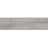 Mexen Riga Hall läikiv portselan, rek. G1, puidumustriga põranda-seinaplaat 120 x 30 cm, matt - TL713-120-030-04