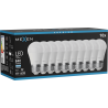 Mexen Nova 10x LED-pirn E27, G45, 8W, Külm - 6500K, 840 lm - L101-E27-0865-01x10