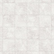 Mexen Lizard Srebrni glazirani rektificirani gres G1, talno-stenska ploščica 60 x 60 cm, sijaj - TL109-060-060-03