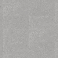 Mexen Megnum Srebrni porcelanski kamen, glazirani, rektificirani G1, pločica za podove i zidove 120 x 60 cm, carving