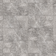 Mexen Lizard Sivi glazirani gres rek. G1, podno-stijenka pločica 120 x 60 cm, sjaj - TL109-120-060-02