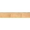 Mexen Jasperwood Beige Probe des glasierten rek. G1 Feinsteinzeugs, holzähnliche Boden-Wandfliese, matt - TL605-01-S