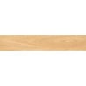 Mexen Jasperwood Beige Probe des glasierten rek. G1 Feinsteinzeugs, holzähnliche Boden-Wandfliese, matt - TL605-01-S