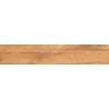 Mexen Jasperwood Noce échantillon de grès émaillé rectifié G1, carreau imitant le bois mur-sol, mat - TL605-03-S