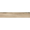 Mexen Lumiere Échantillon de grès cérame émaillé rectifié Nature G1, carreau effet bois pour sol et mur, mat - TL608-01-S