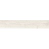 Mexen Wood Ville Bianco provbit av glaserad rekt. G1, träliknande golv- och väggplatta, carving - TL613-01-S