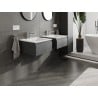 Mexen Orio bathroom cabinet 50 cm with Otis washbasin, 1 drawer, matte graphite/white matte - 91A10-05023-1-BF66-W18M01
