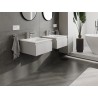 Mexen Orio mobile da bagno 50 cm con lavabo Vela, 1 cassetto, grigio opaco/bianco opaco - 91A10-05023-1-BF62-W23M01