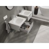 Mexen Orio mobile da bagno 50 cm con lavabo Vela, 1 cassetto, grigio opaco/bianco opaco - 91A10-05023-1-BF62-W23M01