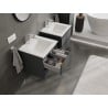 Mexen Orio ormarić za kupaonicu 50 cm s umivaonikom Otis, 2 ladice, grafit mat/bijela mat - 91A10-05047-2-BFF66-W18M01