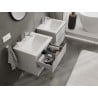 Mexen Orio gabinete de baño 60 cm con lavabo Otis, 2 cajones, gris mate/blanco mate - 91A10-06047-2-BFF62-W18M01