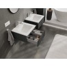 Mexen Rivel armario de baño de 50 cm con lavabo Otis, 1 cajón, acanalado, grafito mate / blanco mate