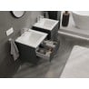 Mexen Rivel bathroom cabinet 50 cm with sink Otis, 2 drawers, grooved, graphite matte/white matte - 91A20-05047-2-BFF66-W18M01