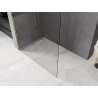 Mexen Kioto-P Walk-in duschvägg 70 x 200 cm, transparent 8 mm, guld - 800-070-101-50-00-P