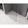 Mexen Kioto-P ścianka prysznicowa Walk-in 100 x 200 cm, transparent 8 mm, złota szczotkowana - 800-100-101-55-00-P