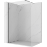Mexen Kioto-P ścianka prysznicowa Walk-in 100 x 200 cm, transparent 8 mm, gun metal - 800-100-101-95-00-P